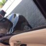 Bulletproof Nissan Armada