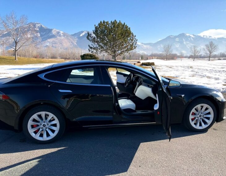 Armormax Armored Tesla Model S P100D WP